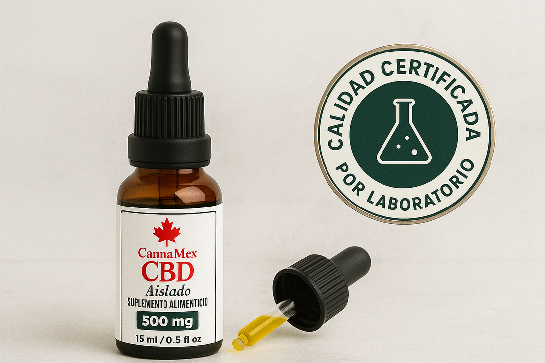 ¿Todo el CBD es igual? La Guía Definitiva para Entender la Calidad y Evitar Comprar Gato por Liebre