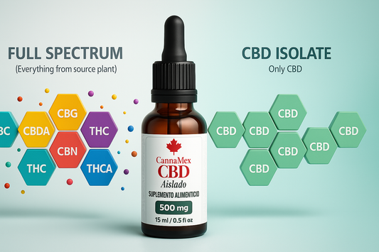 La diferencia entre espectro completo, amplio y aislado: ¿cuál CBD elegir?