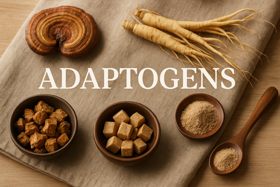 Adaptógenos: El Secreto Natural para el Equilibrio y la Energía en tu Día a Día