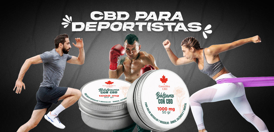 CBD para Atletas y Deportistas: Beneficios Antes y Después del Entrenamiento
