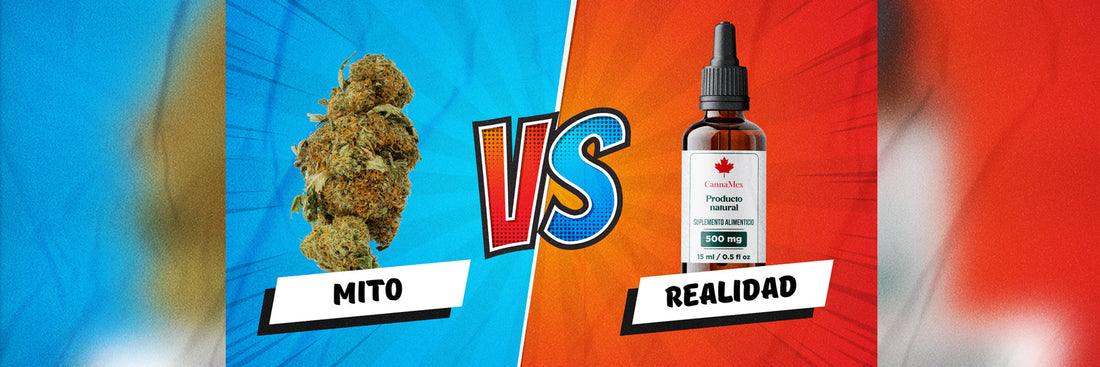 Mitos y Verdades del CBD: Descubre sus Beneficios para el Cuerpo Humano y Mascotas