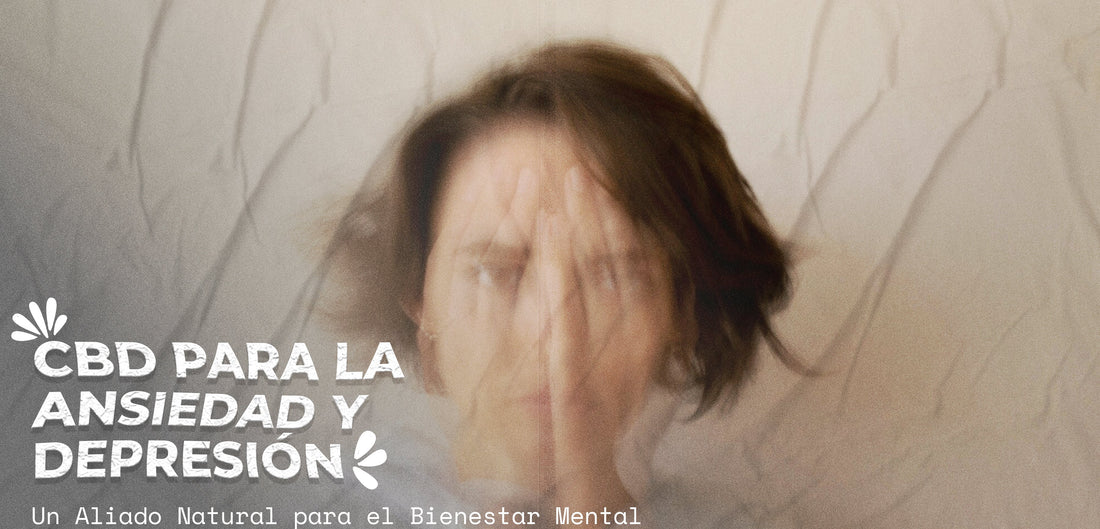 CBD para la Ansiedad y Depresión: Un Aliado Natural para el Bienestar Mental