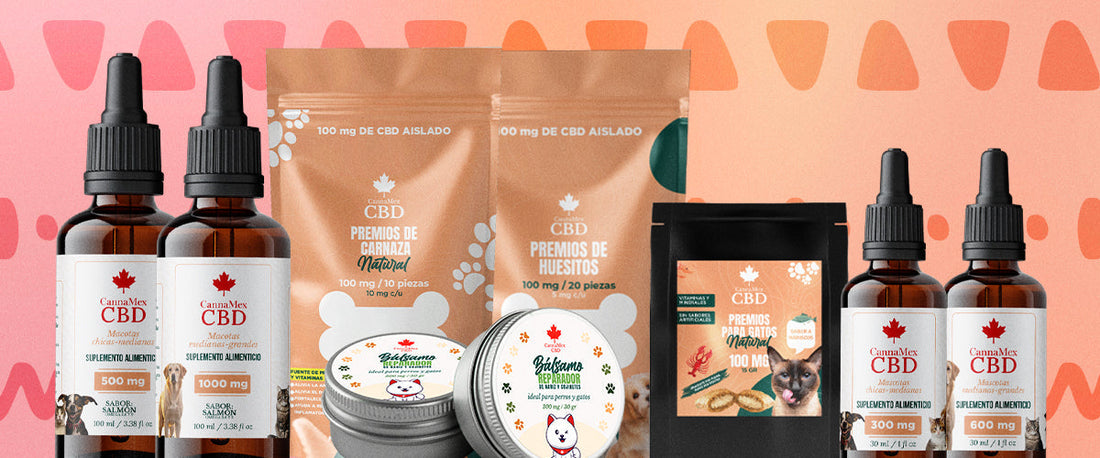 CBD para Mascotas: La Mejor Opción Natural para su Bienestars