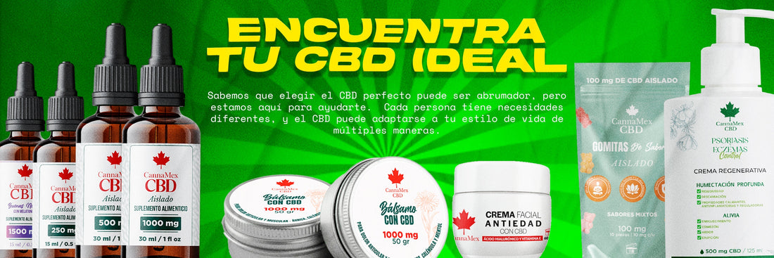 ¿Cuál es el CBD ideal para ti?