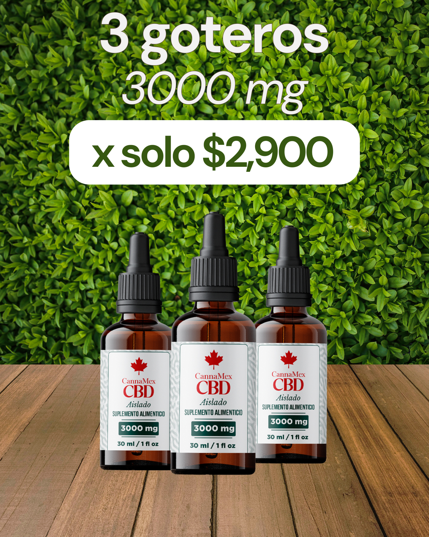 ¡PROMO! 3 Goteros de CBD de $3,900 a $2,900