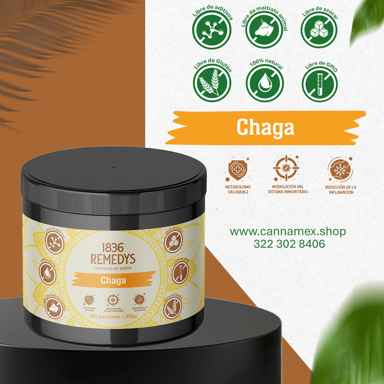 Chaga - 100% raiz en polvo