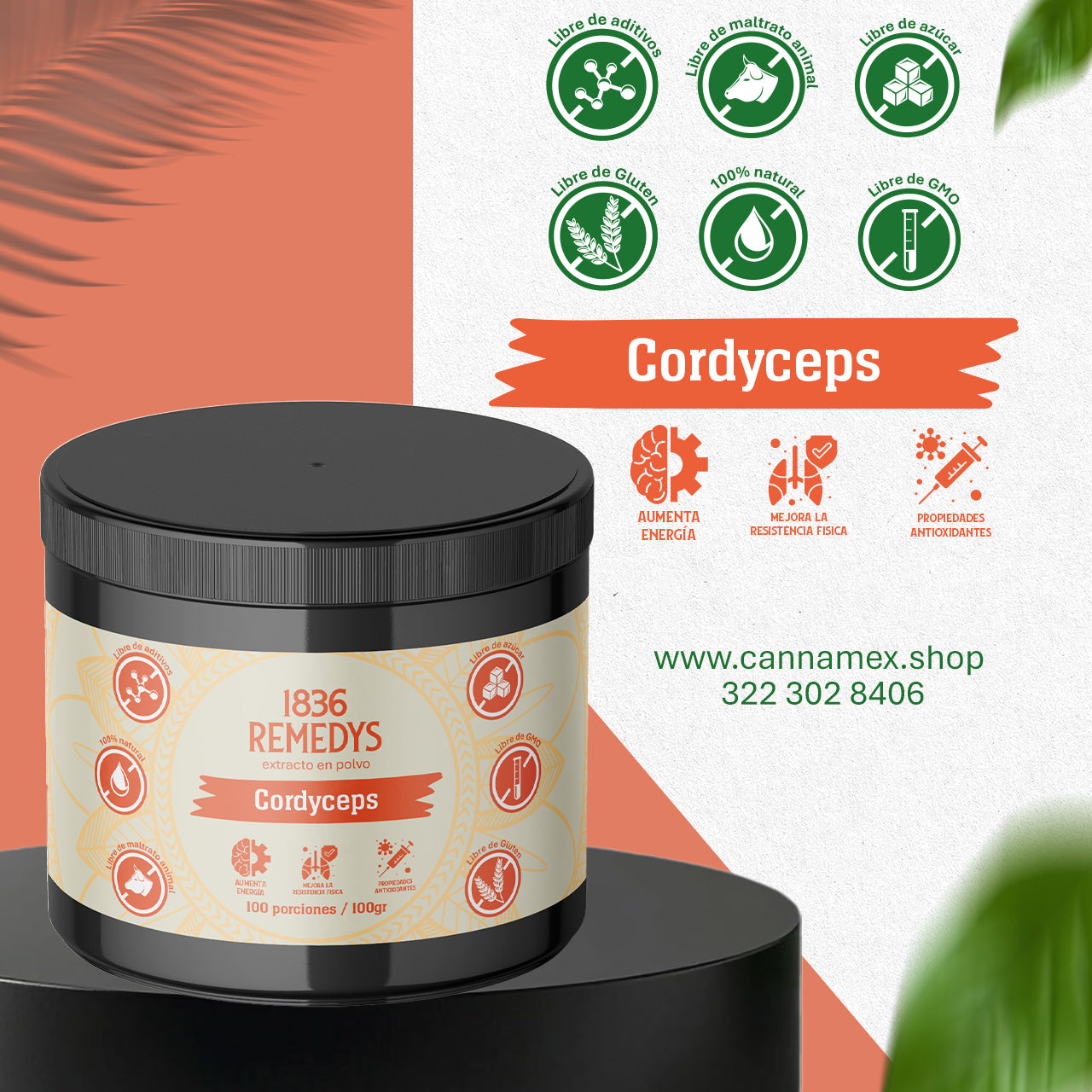 Cordyceps - 100% raiz en polvo