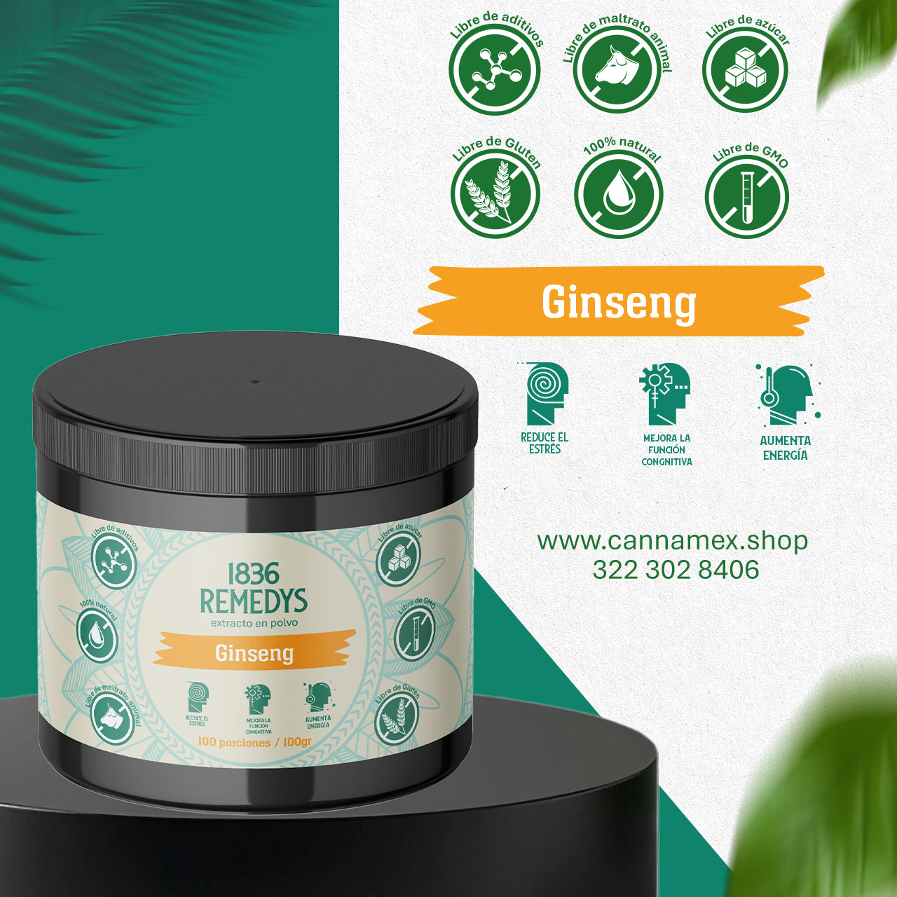 Panax Ginseng - 100% raiz en polvo