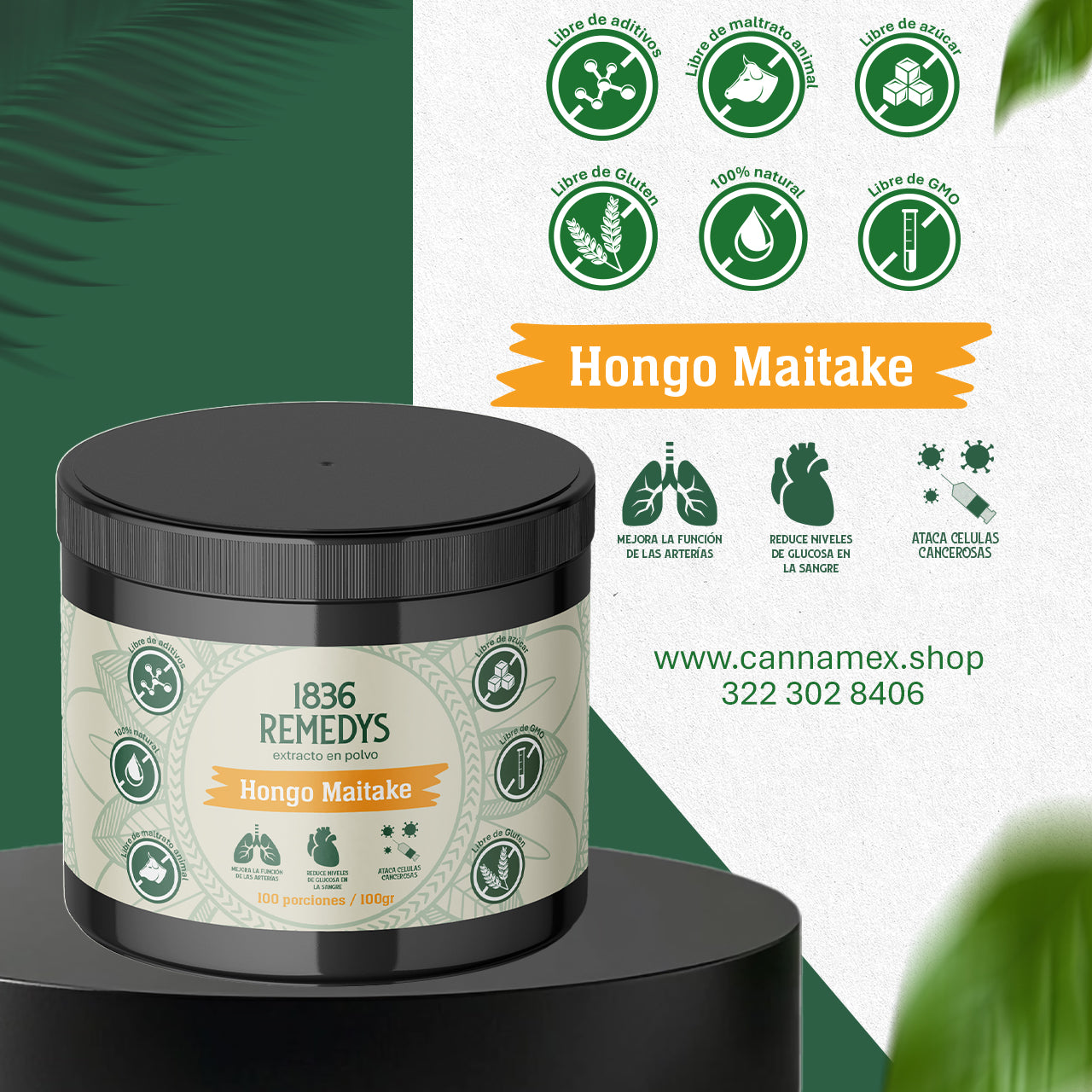 Hongo Maitake- 100% hongo en polvo