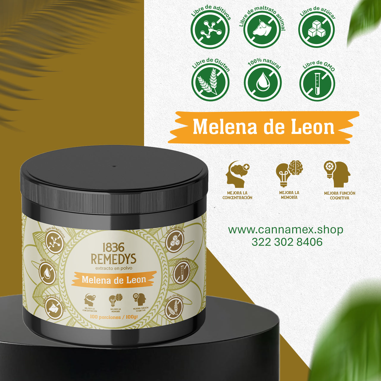 Melena de Leon - 100% raiz en polvo