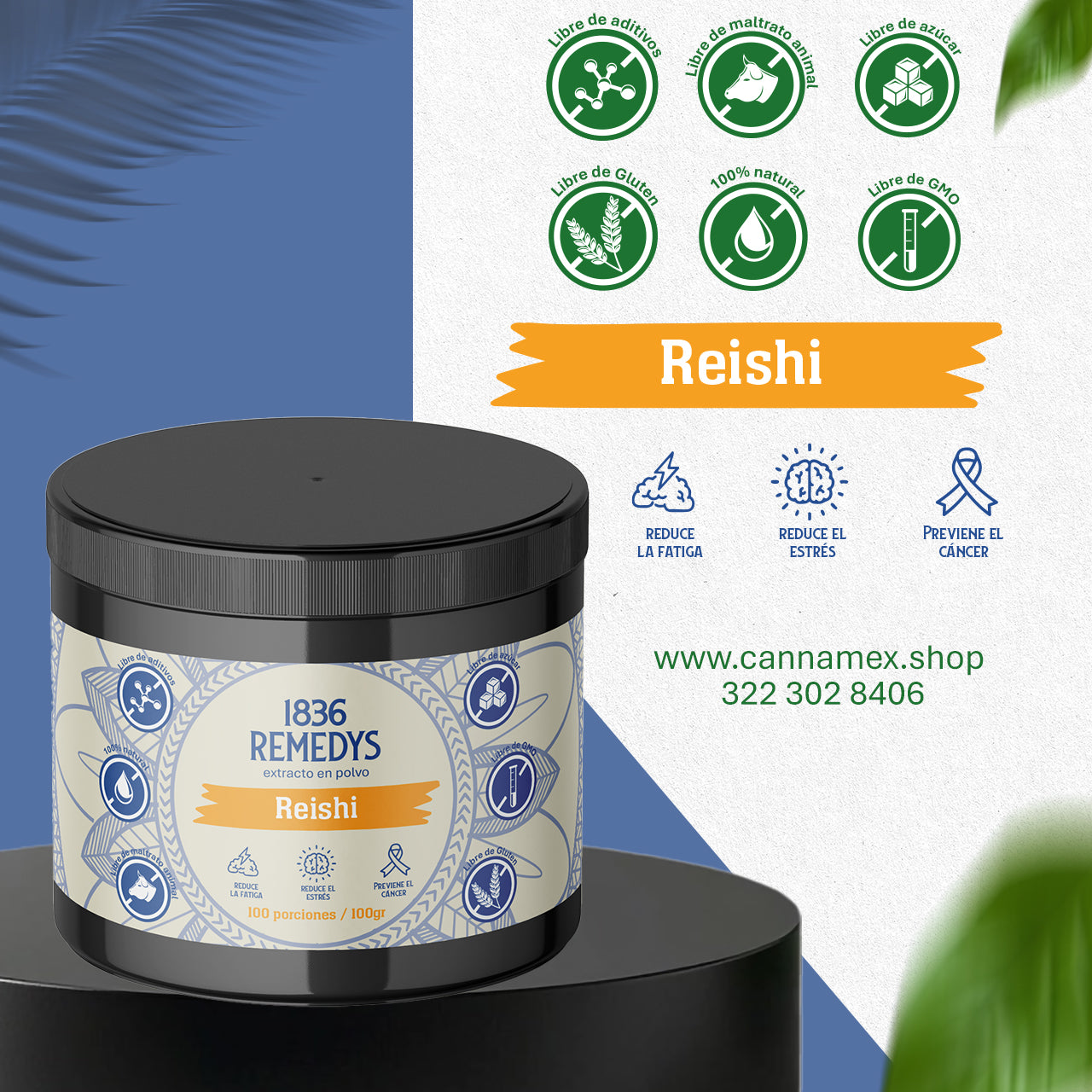 Reishi - 100% hongo en polvo
