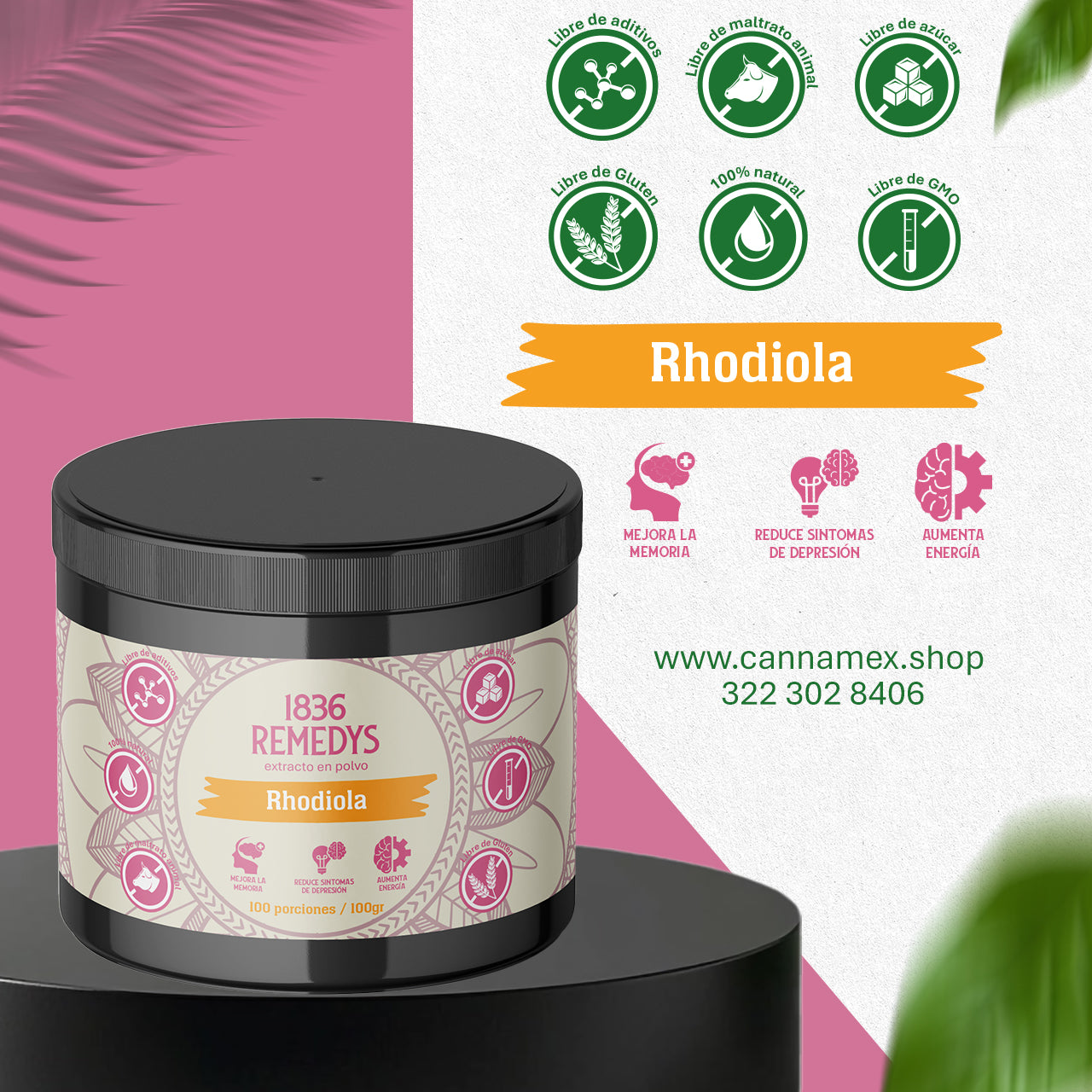 Rhodiola - 100% hongo en polvo