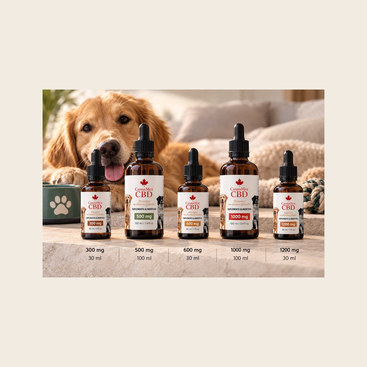 Alivio total canino sabor salmón