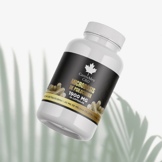 Psilocibina: conecta con tu ser