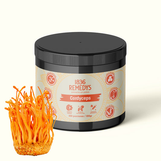 Cordyceps - 100% raiz en polvo