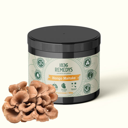 Hongo Maitake- 100% hongo en polvo