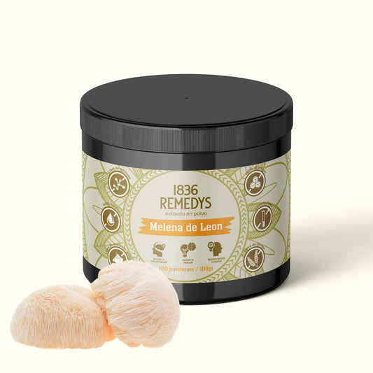 Melena de Leon - 100% raiz en polvo