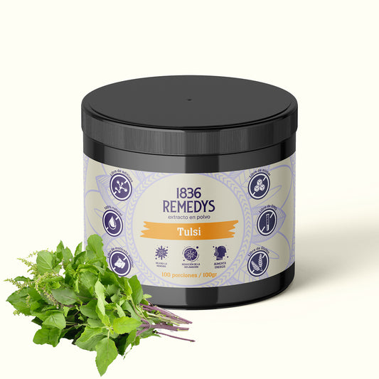 Tulsi - 100% raiz en polvo