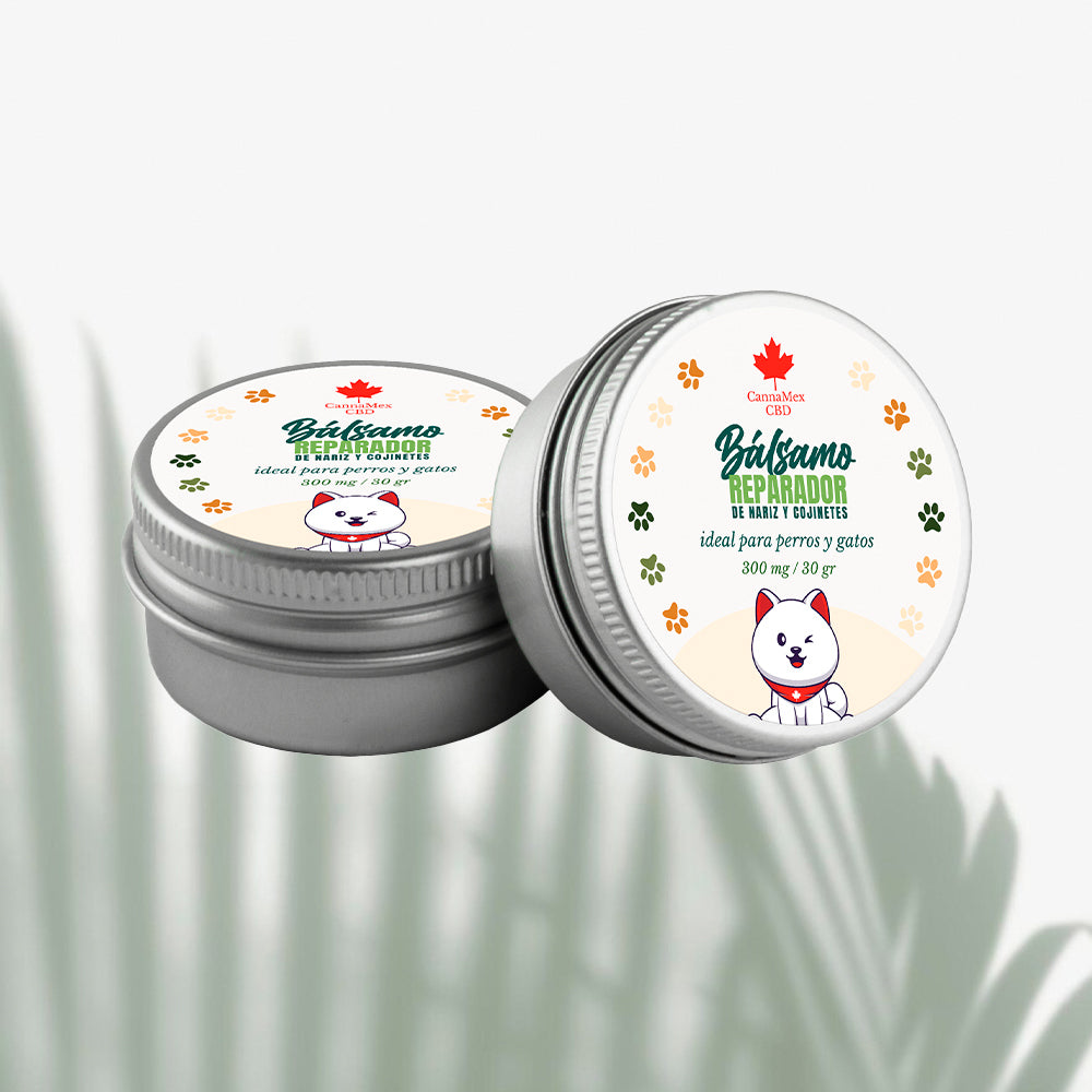 Bálsamo Reparador para Nariz y Cojinetes – 300 mg, 30 g