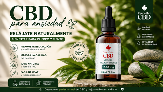 CBD para ansiedad: cómo puede ayudarte a relajarte naturalmente