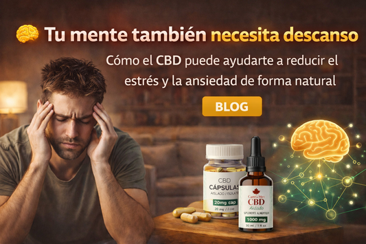 🧠 Tu mente también necesita descanso: cómo el CBD puede ayudarte a reducir el estrés y la ansiedad de forma natural