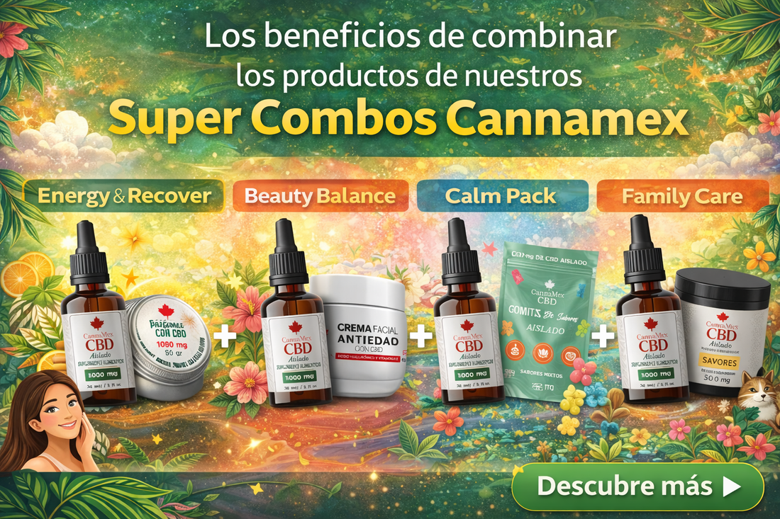 el poder del bienestar cuando los beneficios se combinan