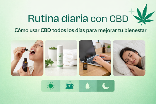 Rutina diaria con CBD: cómo usar CBD todos los días para mejorar tu bienestar