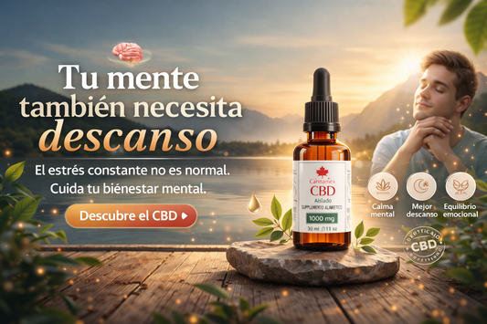 🧠 CBD y la mente: cómo el cannabidiol puede ayudar a tu bienestar mental