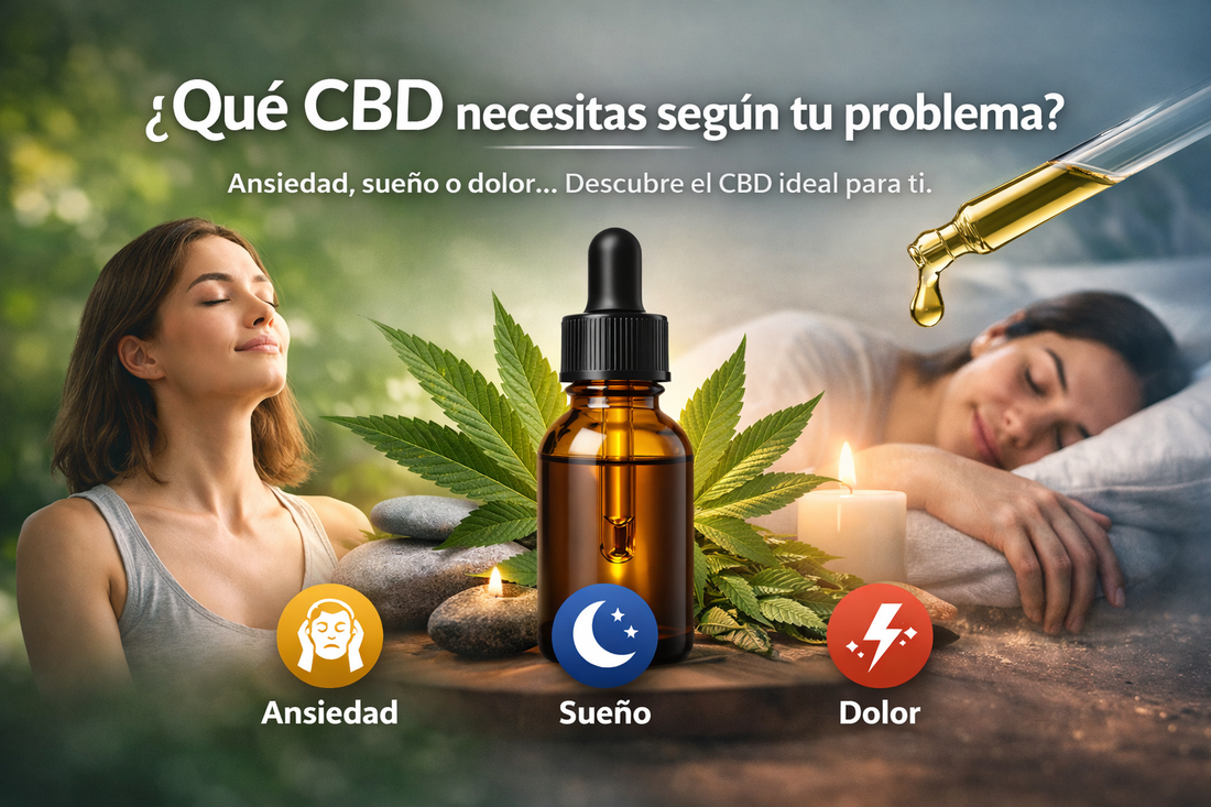 ¿Qué CBD necesito según mi problema? (Guía clara y rápida)