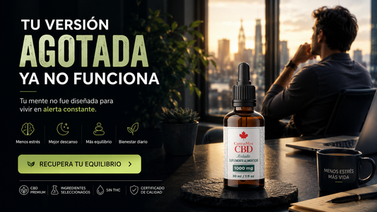 Tu mente también necesita descanso: cómo el CBD puede ayudarte a recuperar el equilibrio mental