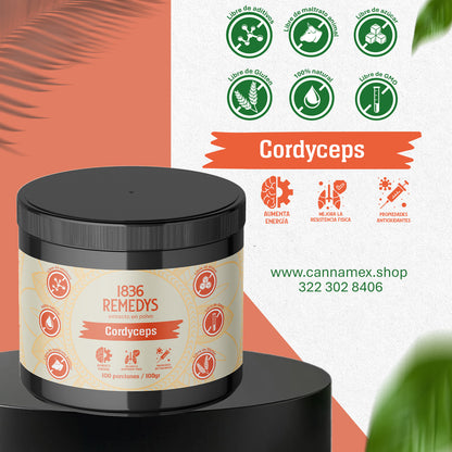 Cordyceps - 100% raiz en polvo