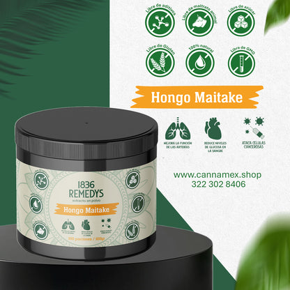 Hongo Maitake- 100% hongo en polvo