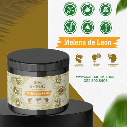 Melena de Leon - 100% raiz en polvo