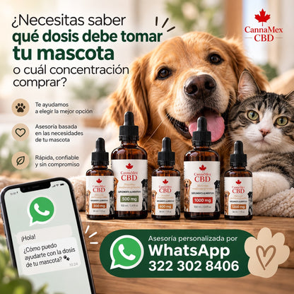Alivio total canino sabor salmón