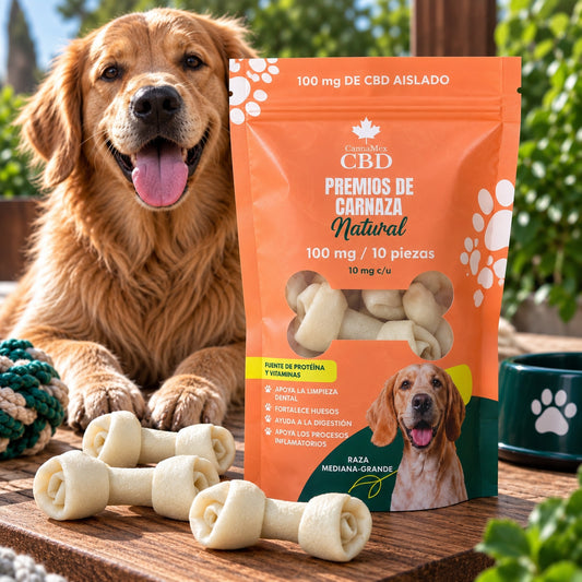 Premios - carnaza para perros con CBD