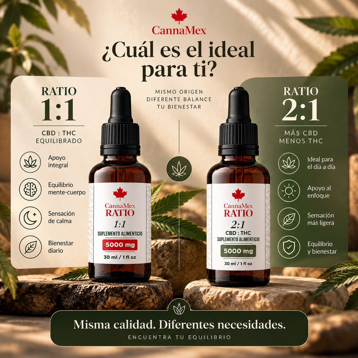 Equilibrio profundo CBD:THC