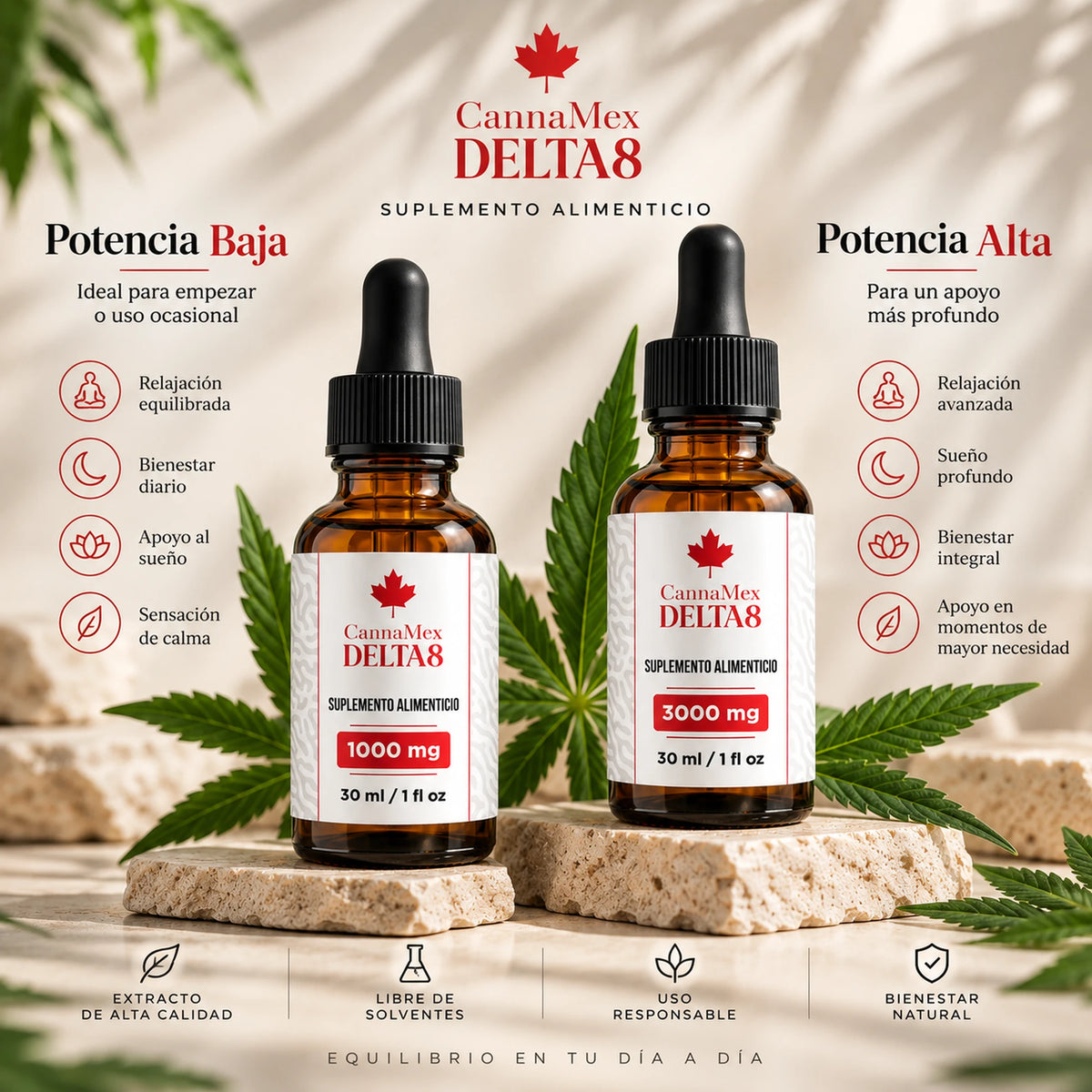 Gotero THC – Experiencia Intensa y Equilibrada