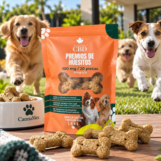 Premios de galletas para perros