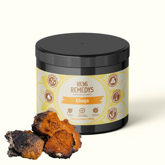 Chaga - 100% raiz en polvo