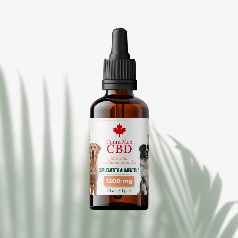 Alivio total canino sabor salmón